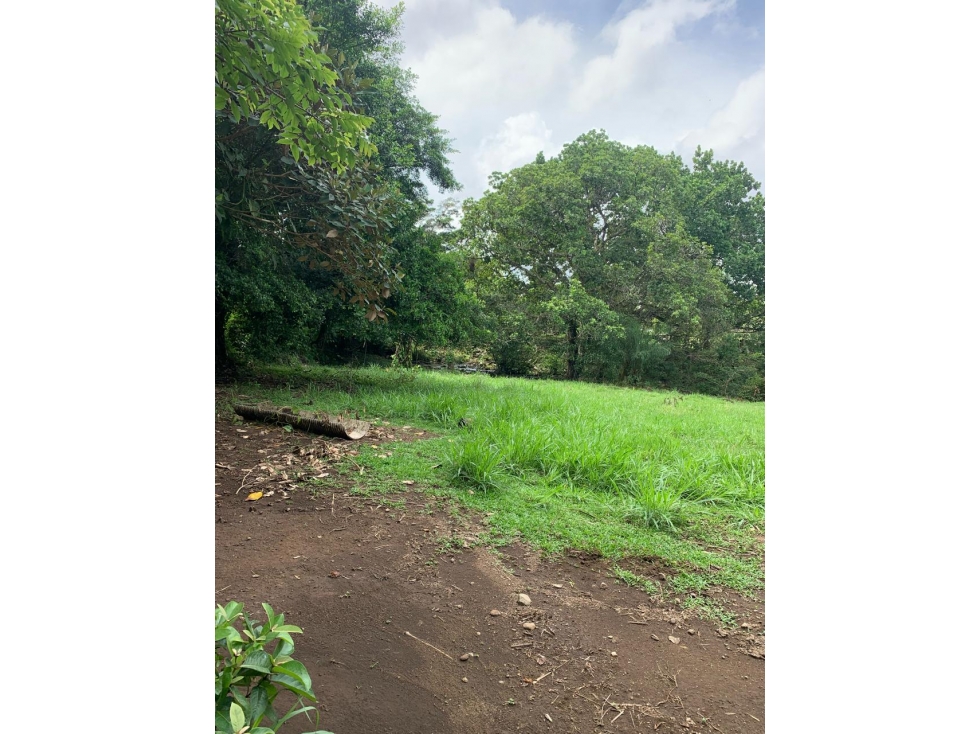 Finca de Más de 5.4 Hectáreas en Venta Los Algarrobos, Dolega - 3