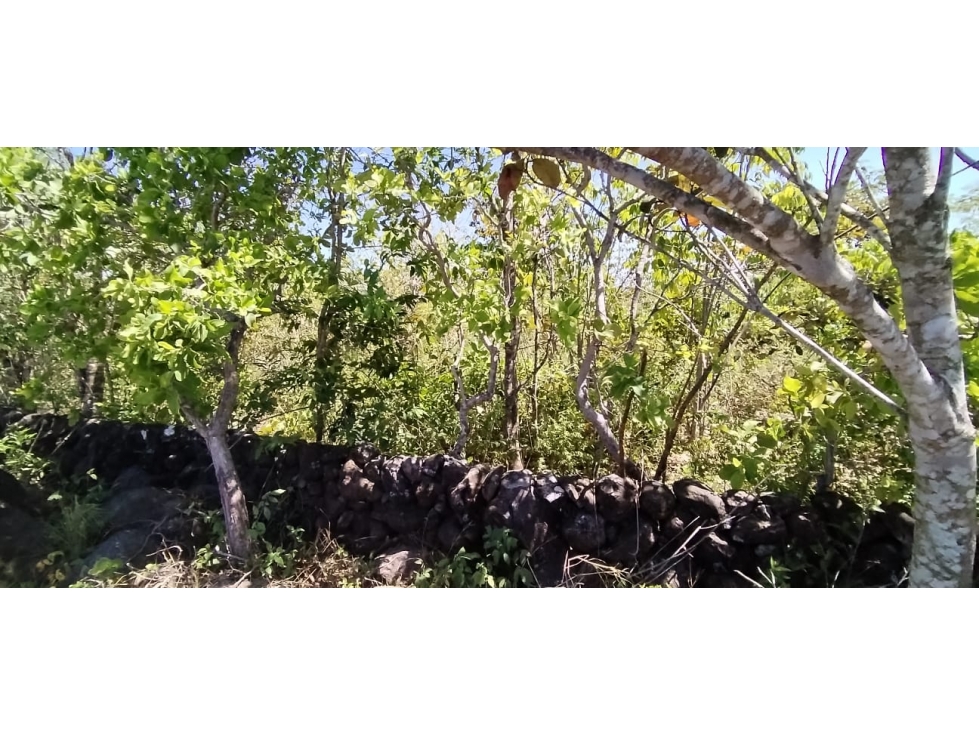Lote en Venta La Acequia Potrerillos Abajo - 4