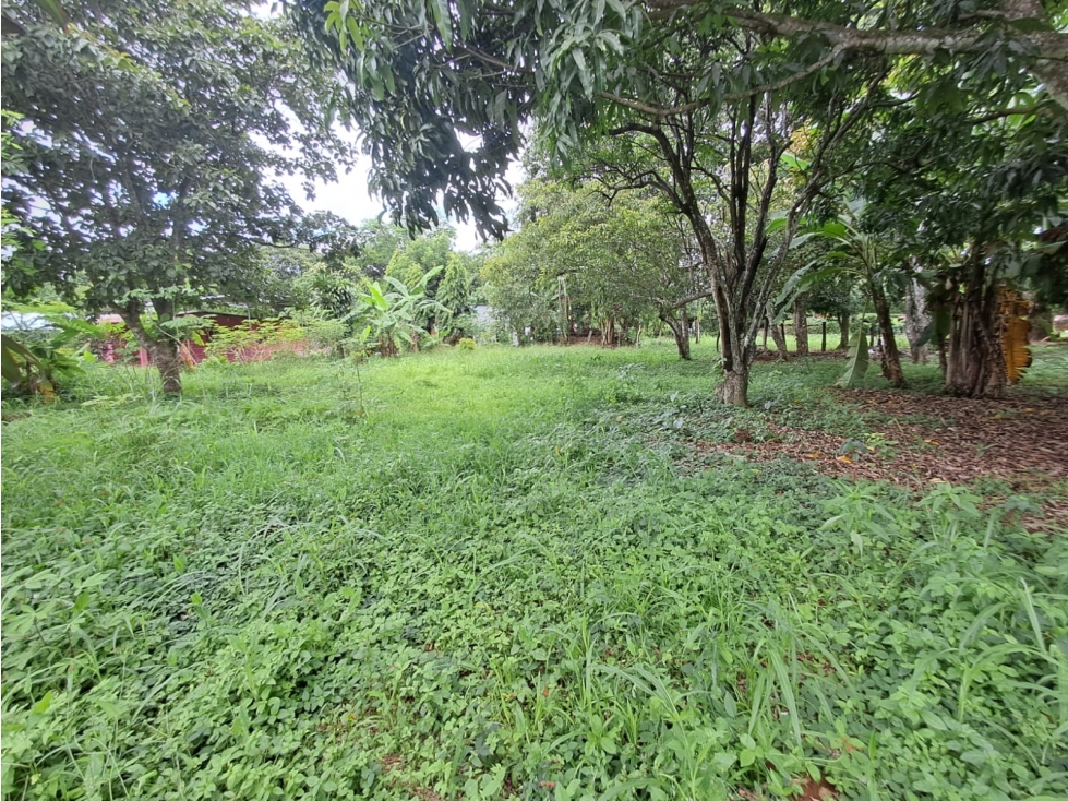 Lote en Venta en Dolega — foto 4