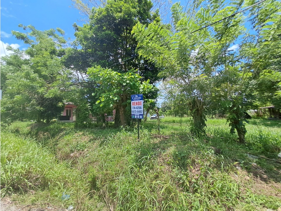 Lote Venta Zona Comercial en Bugaba Vía Interamericana - 4