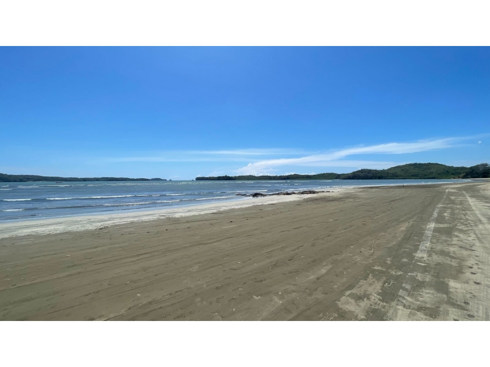 Finca de 15 Ha en el área de Playa Hermosa Horconcitos Chiriquí - 4