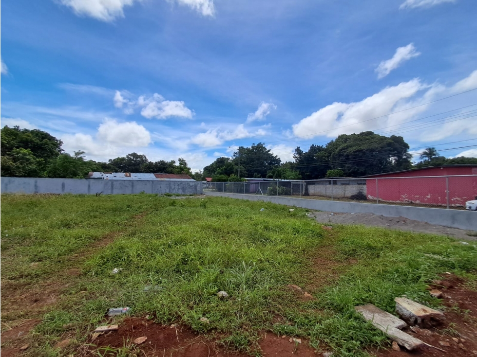 Lote Comercial Alquiler Las Lomas David - 4