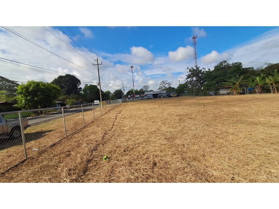 Lote Comercial en Esquina a 30 metros de la Vía Interamericana - 4