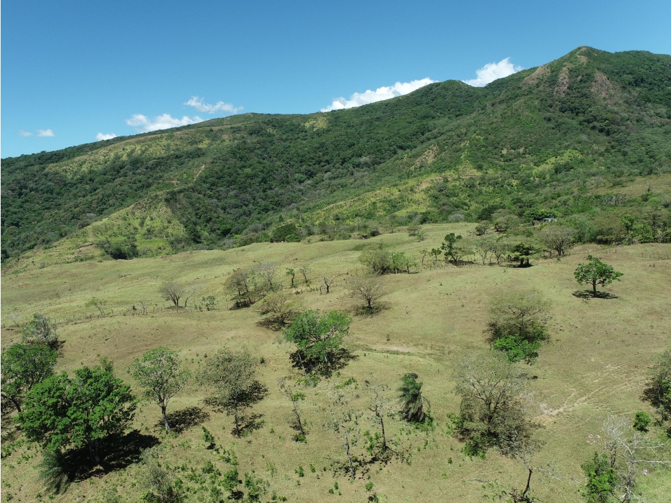 Finca en Venta Alto Boquete Vía Jaramillo - 4