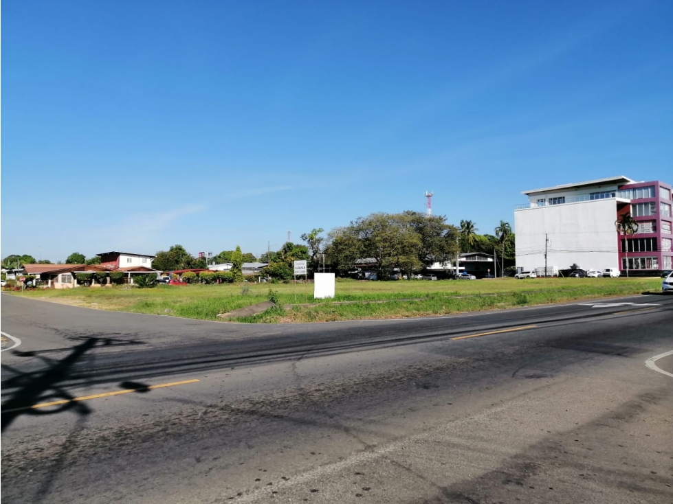 Lote en alquiler en Santa Cruz, vía Boquete David Chiriquí - 2