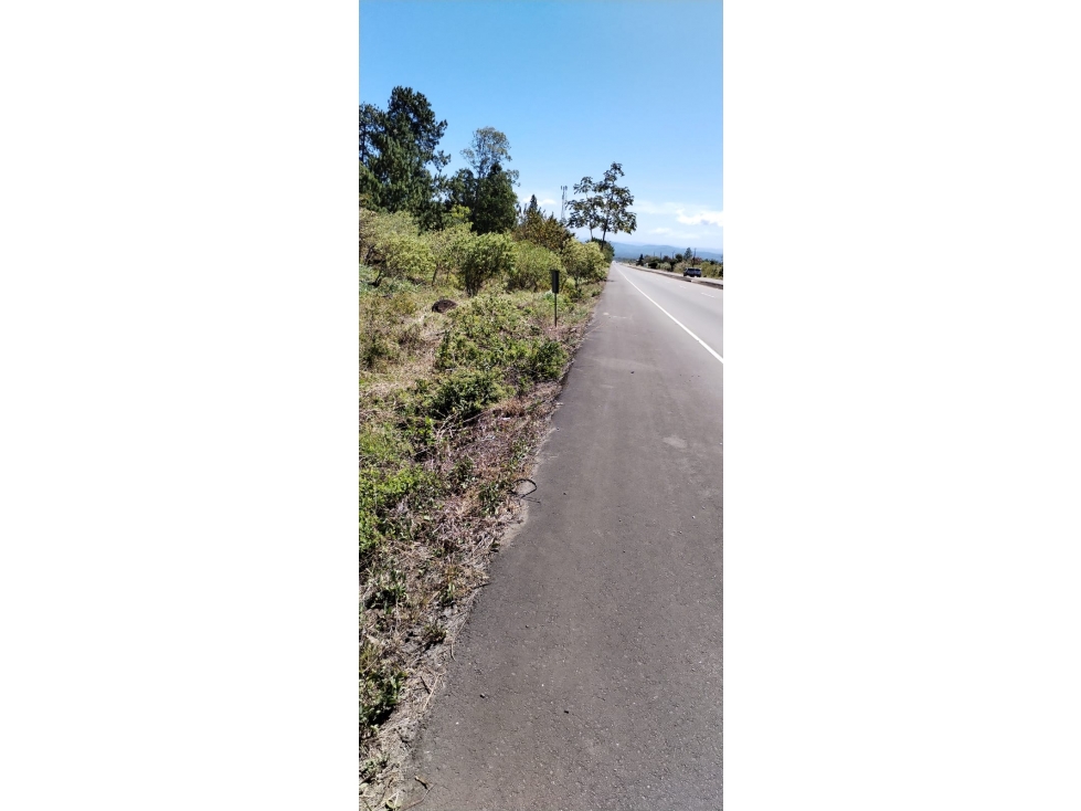 TERRENO DE 5,000 m² EN VENTA ALTO BOQUETE SOBRE LA VIA BOQUETE. - 4