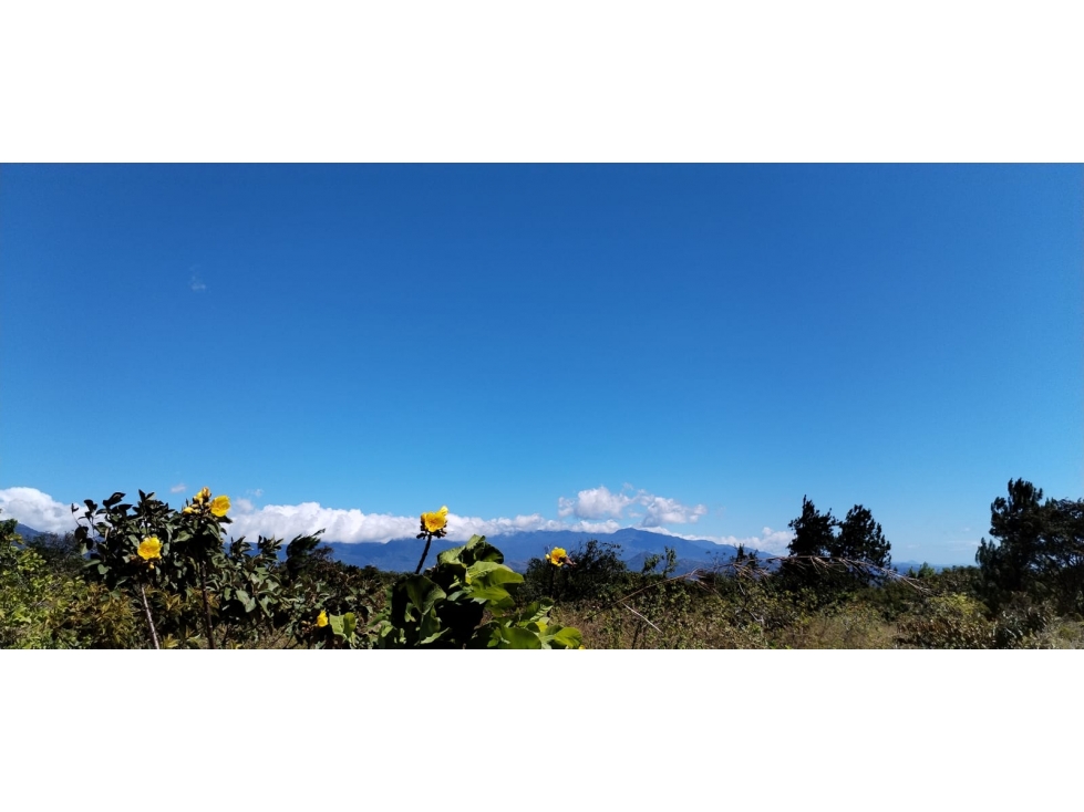 Finca en Venta - Vía Boquete, Mata del Francés , Alto Boquete — foto 5