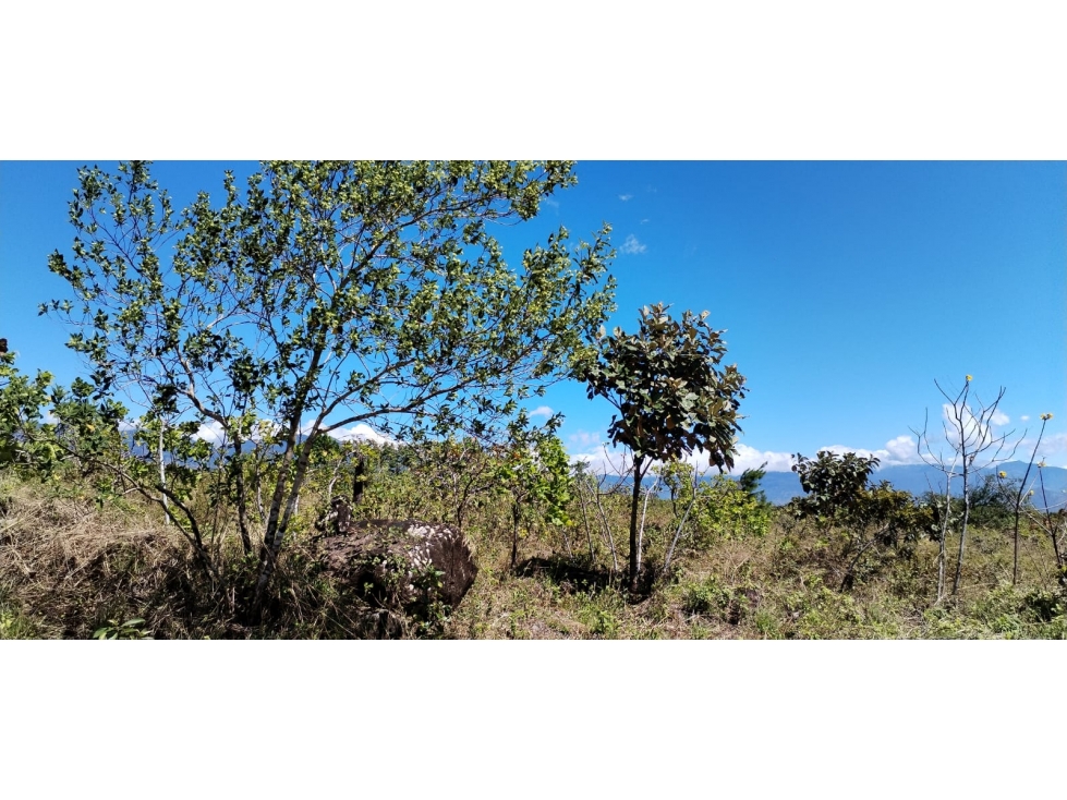Lote en Venta La Acequia Potrerillos Abajo - 5