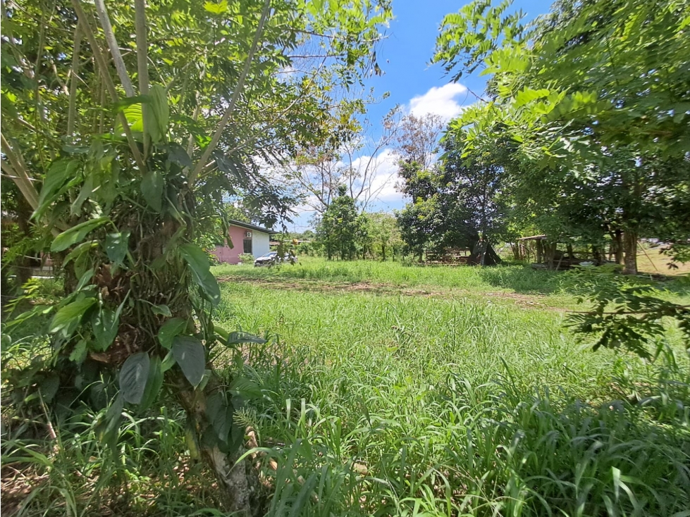 Lote Venta Zona Comercial en Bugaba Vía Interamericana - 5