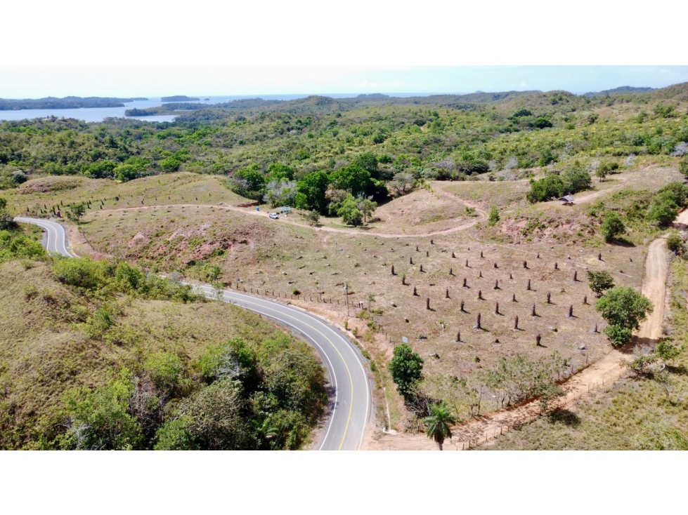 Finca de 15 Ha en el área de Playa Hermosa Horconcitos Chiriquí - 5