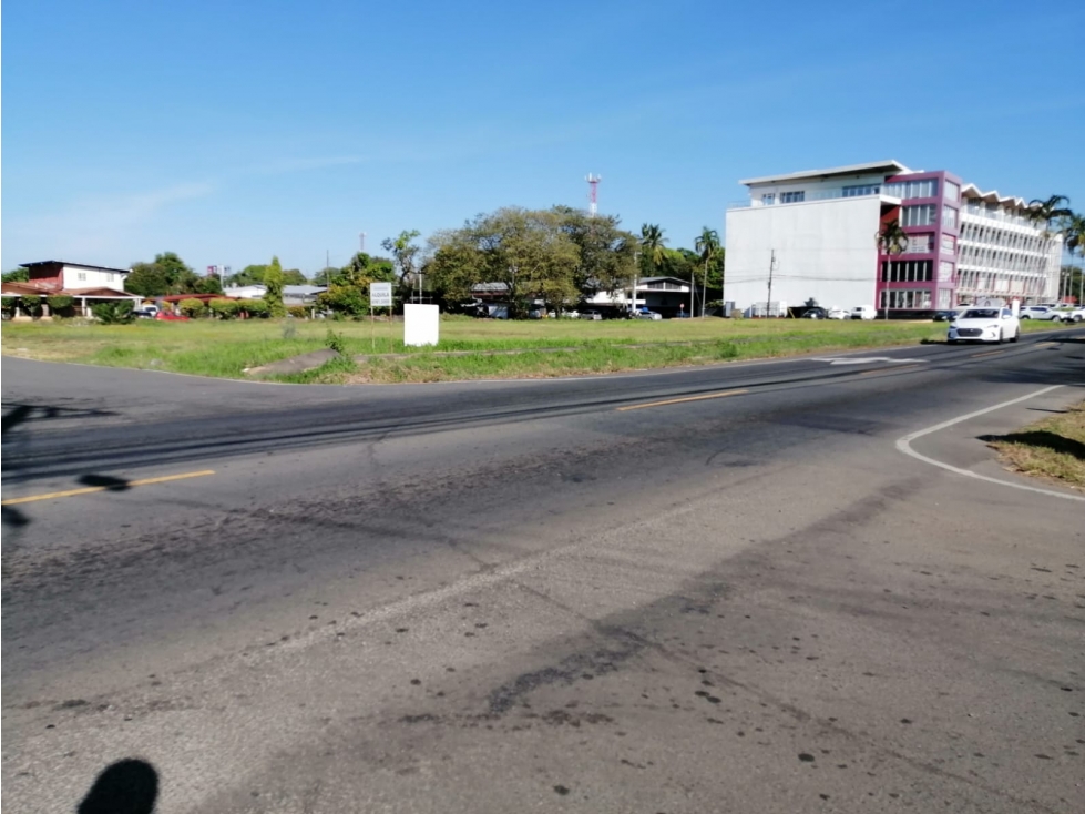 Lote en alquiler en Santa Cruz, vía Boquete David Chiriquí - 3