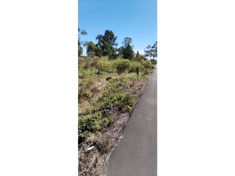 TERRENO DE 5,000 m² EN VENTA ALTO BOQUETE SOBRE LA VIA BOQUETE. - 5