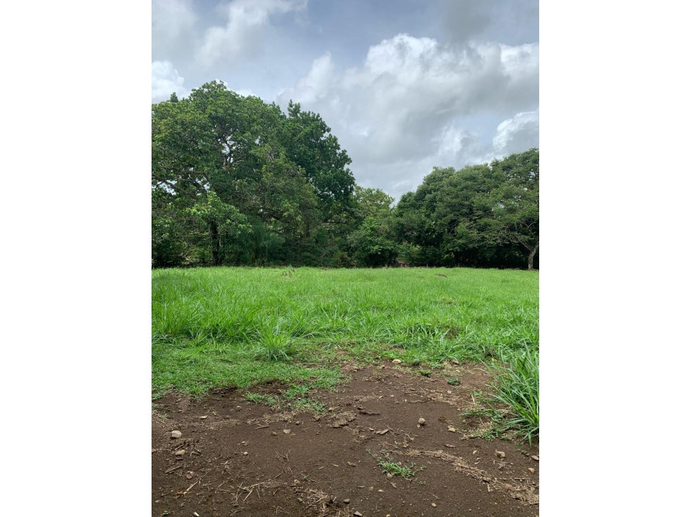 Finca de Más de 5.4 Hectáreas en Venta Los Algarrobos, Dolega - 5
