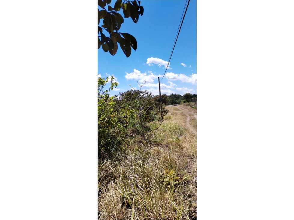 Lote en Venta La Acequia Potrerillos Abajo - 6