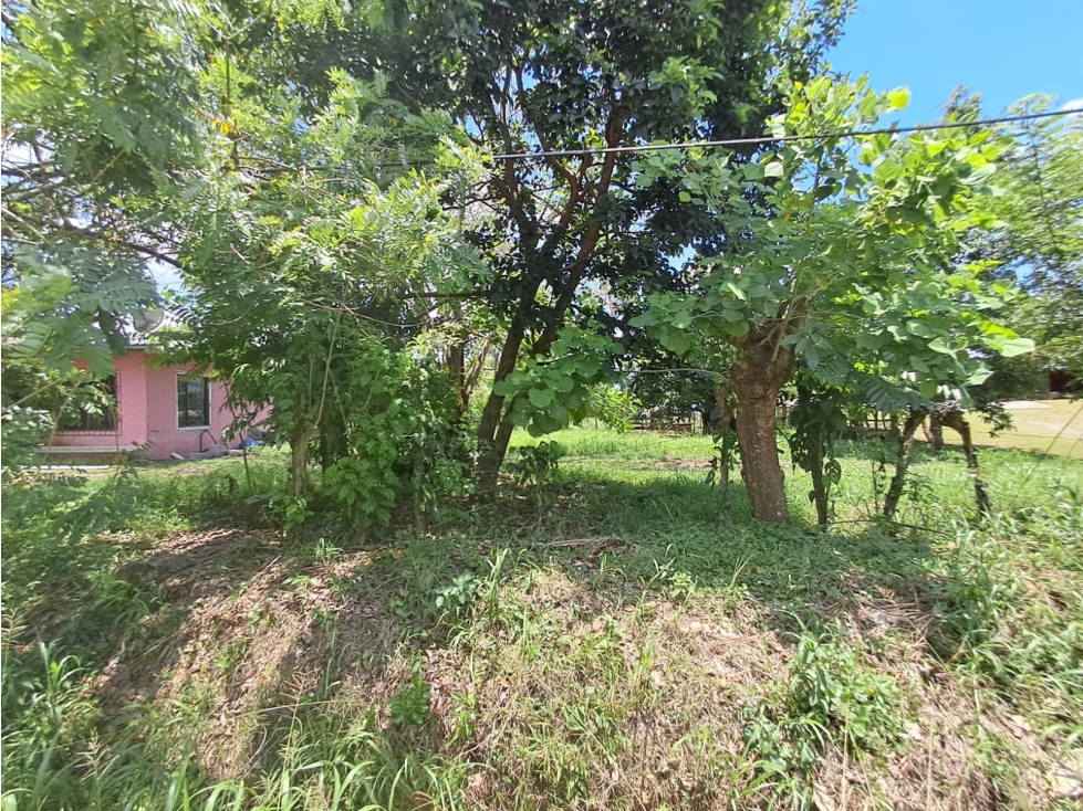 Lote Venta Zona Comercial en Bugaba Vía Interamericana - 6