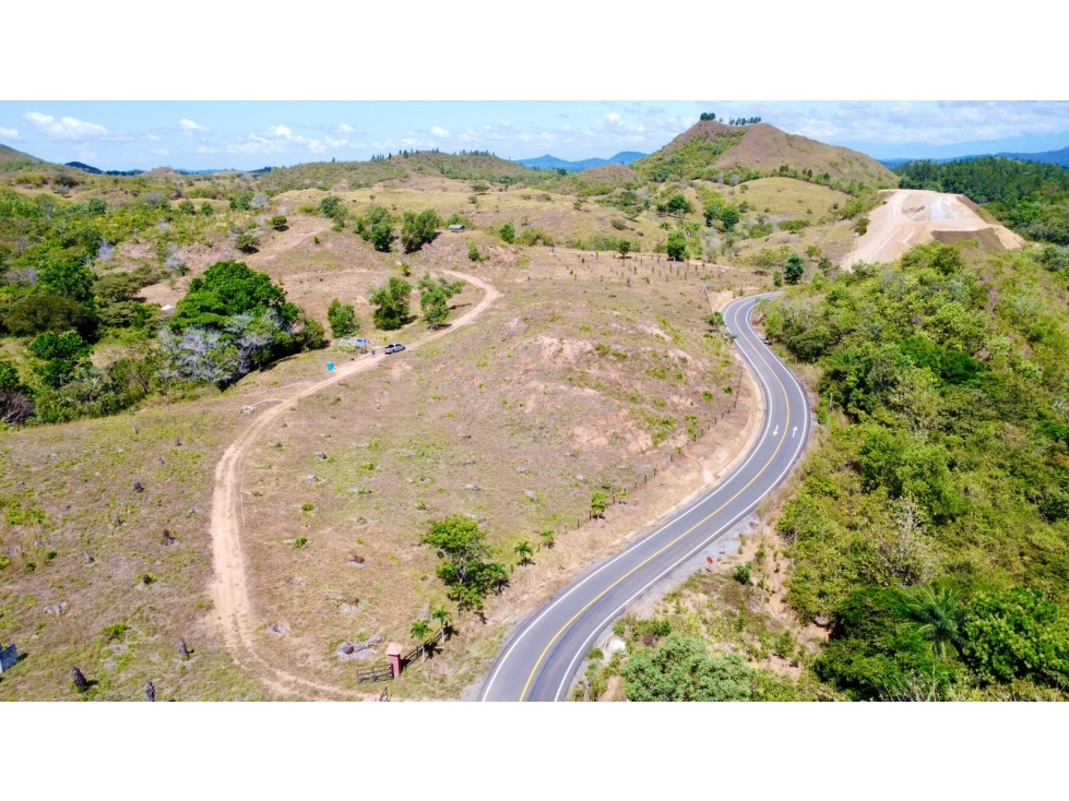 Finca de 15 Ha en el área de Playa Hermosa Horconcitos Chiriquí - 6