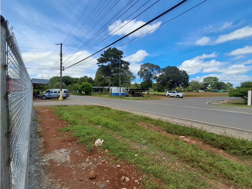 Lote Comercial Alquiler Las Lomas David - 6