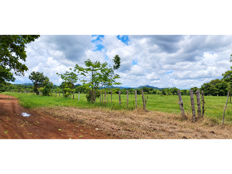 Finca de 2.6 Hectáreas | San Pablo, David Después de Feduro
