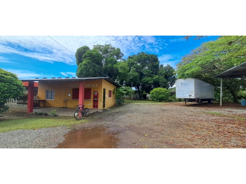 Propiedad En Venta San Pablo Viejo, David - 1