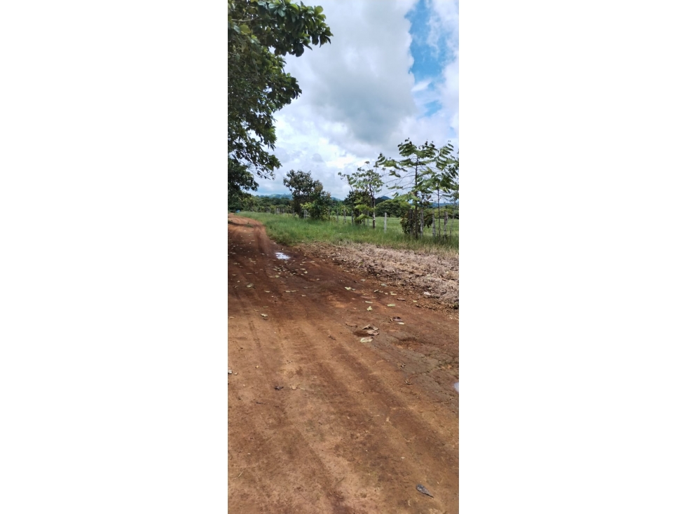 Finca de 2.6 Hectáreas | San Pablo, David Después de Feduro — foto 3