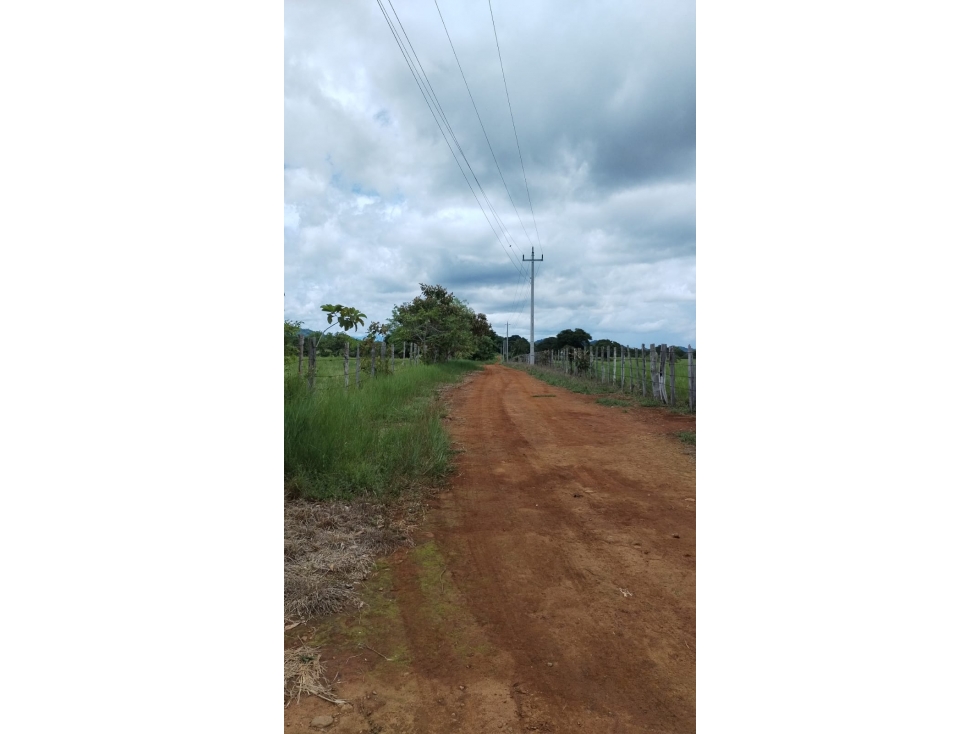 Finca de 2.6 Hectáreas | San Pablo, David Después de Feduro — foto 5