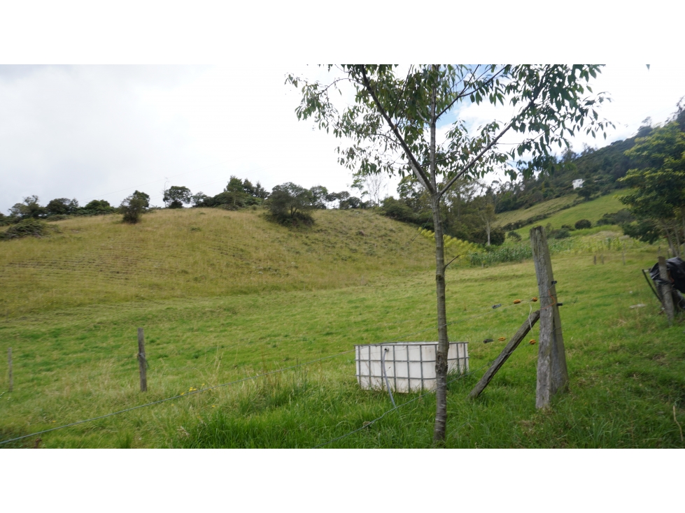 finca en venta en Sibaté, Vereda La Unión Ganadería y Agricultura - 1