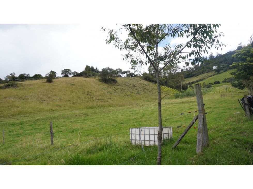 finca en venta en Sibaté, Vereda La Unión Ganadería y Agricultura - 2