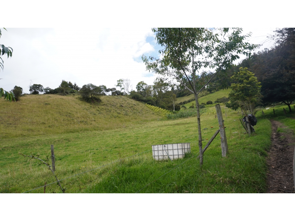 Finca en Venta en Sibaté 26 Hectáreas con Infraestructura Ganadera. - 6