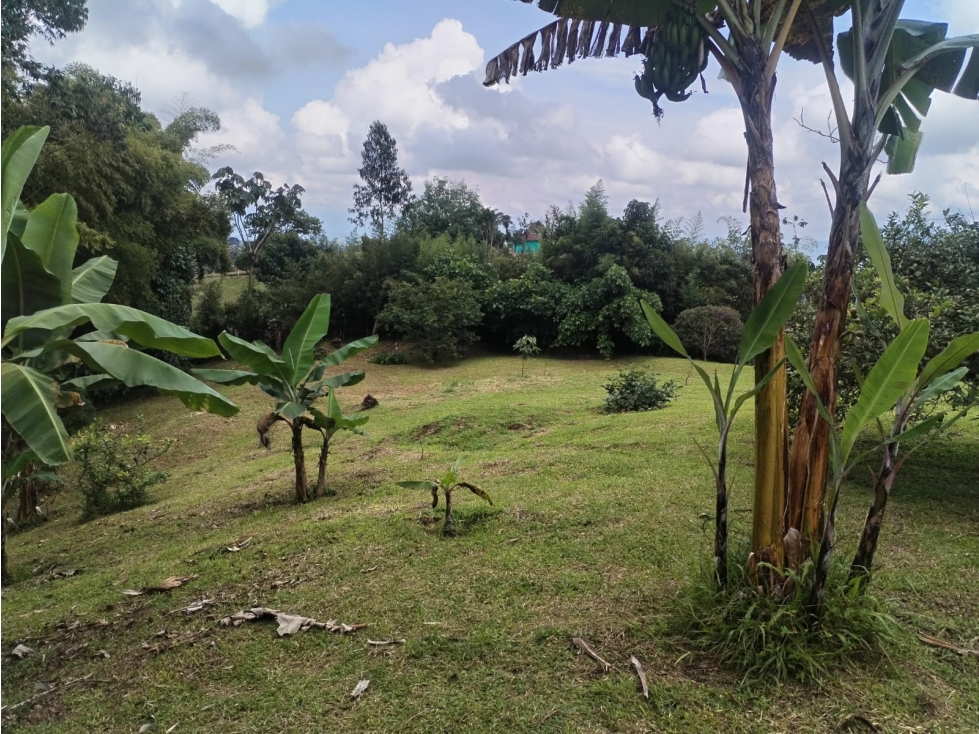 lote vereda el jordán ~ permuta — foto 4