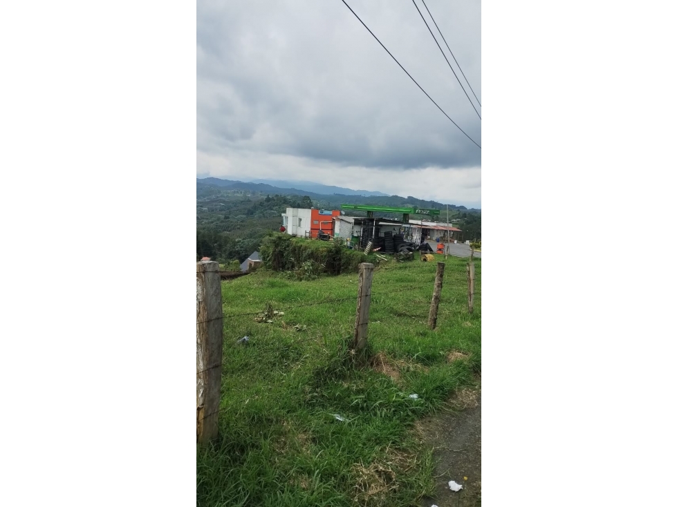 Lote, Via Armenia, Manzano