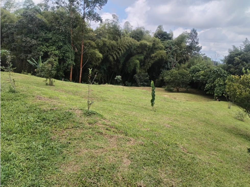 lote vereda el jordán ~ permuta — foto 2