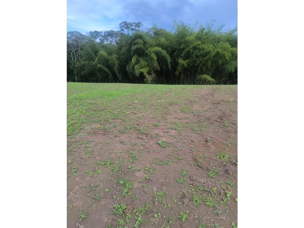 LOTE CERRITOS — foto 2