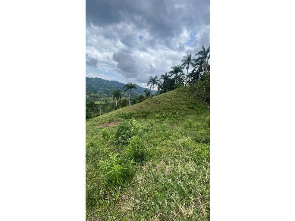 lote vereda el pomo el leden ~ permuta — foto 3