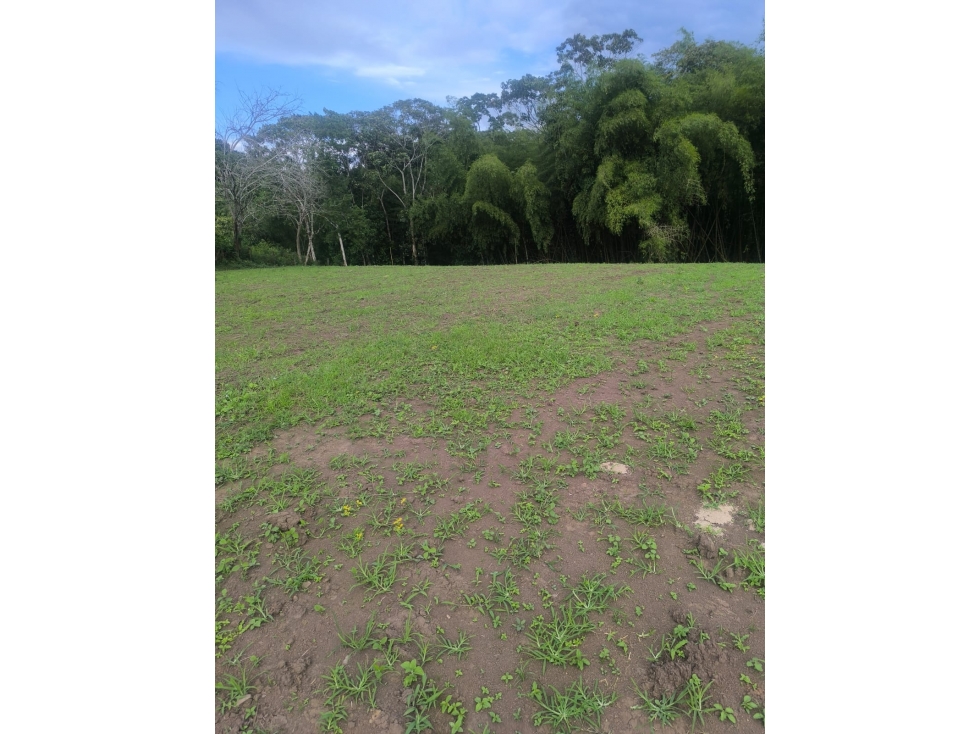 LOTE CERRITOS — foto 3