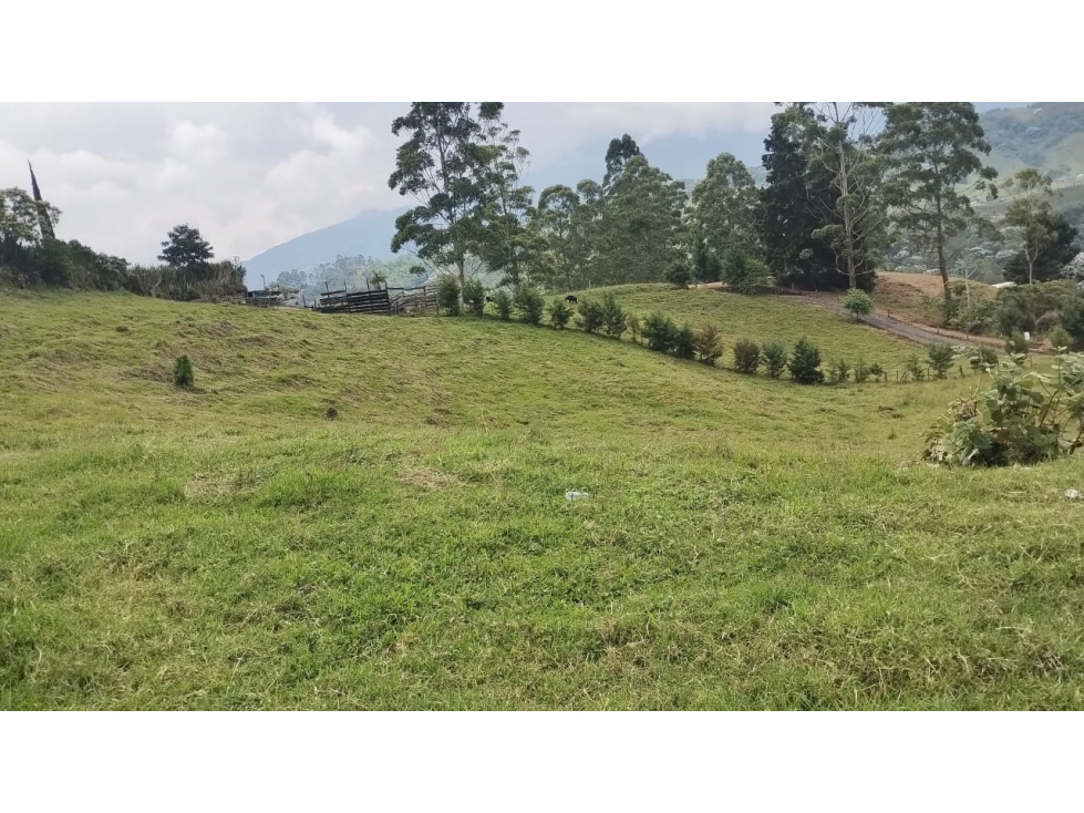 Lote, Via Armenia, Manzano — foto 4