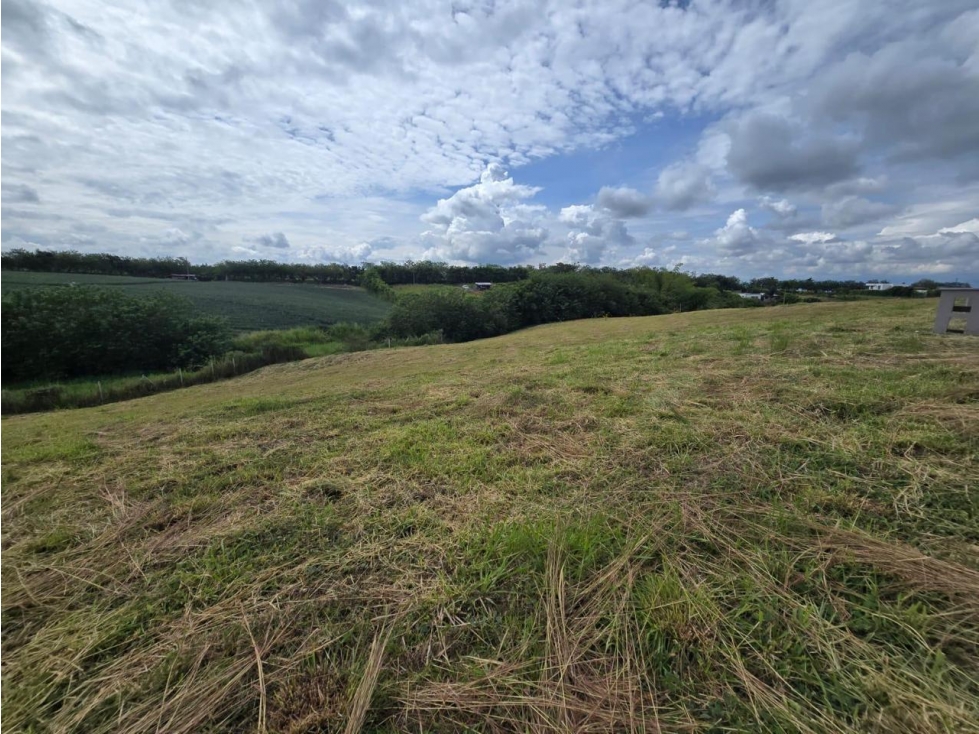 lote condominio lino — foto 5