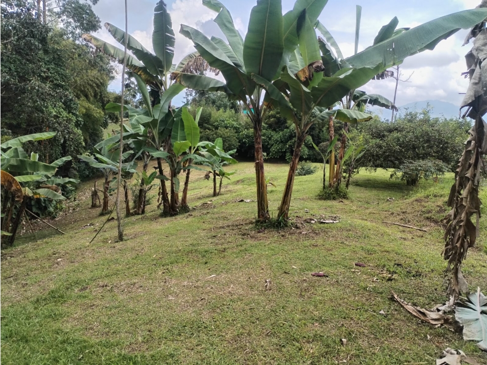 lote vereda el jordán ~ permuta — foto 5