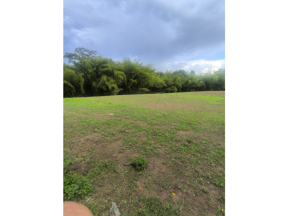 LOTE CERRITOS — foto 5