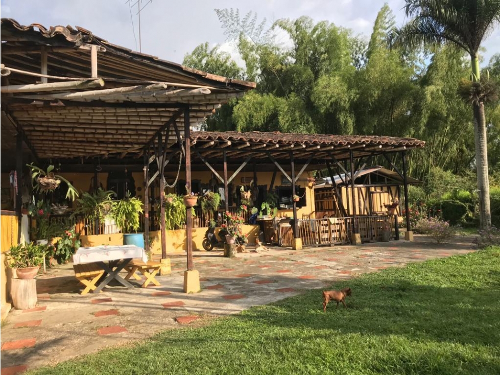 finca,lote via alcala