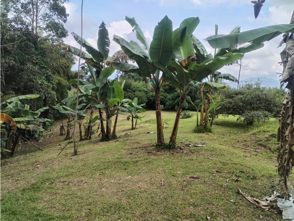 lote vereda el jordán ~ permuta — foto 6