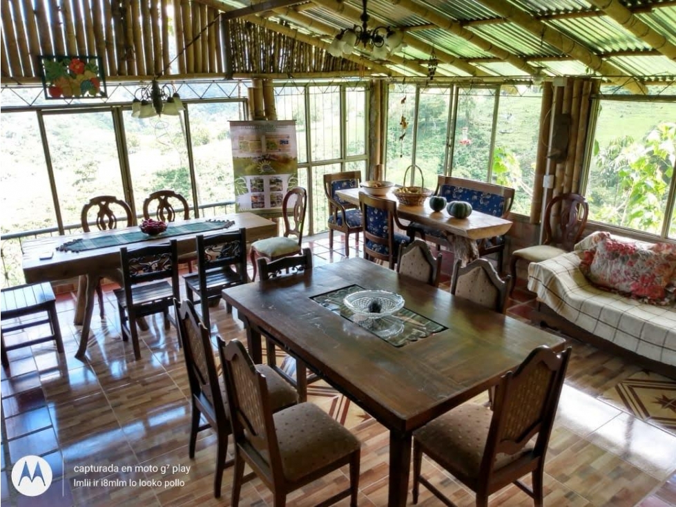 hostal ecológico planadas - 2
