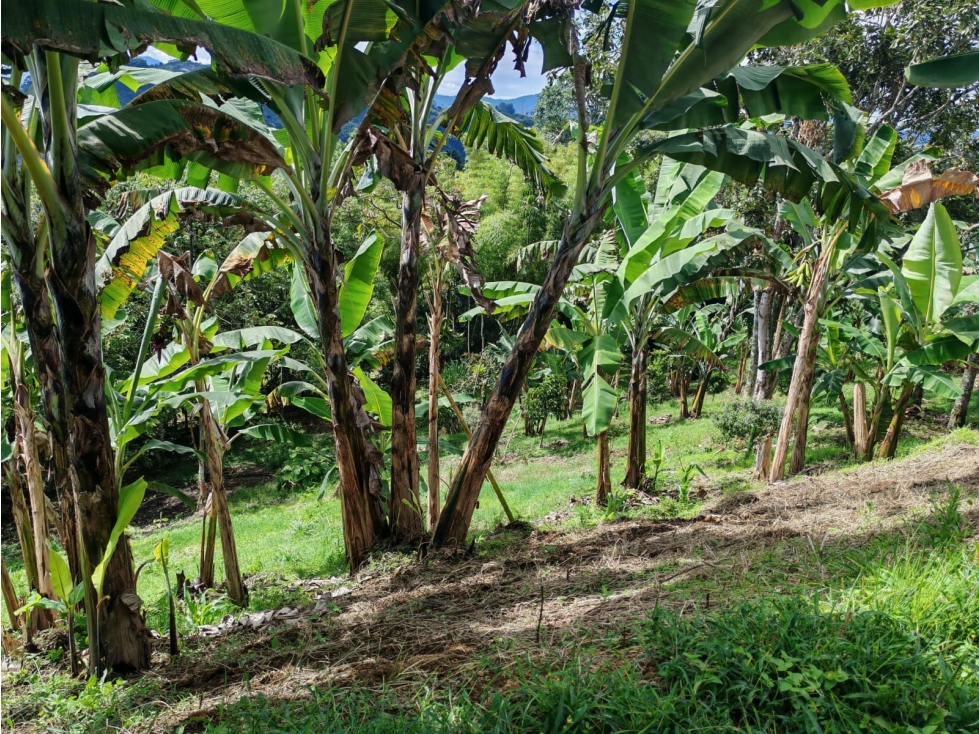 lote vereda el jordan ~ permuta — foto 4