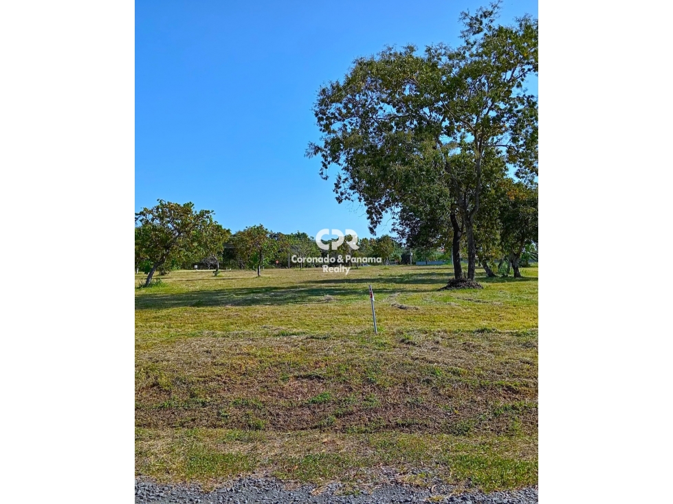 Venta de terreno en Coronado, Palmeras del Golf N°155 — foto 5