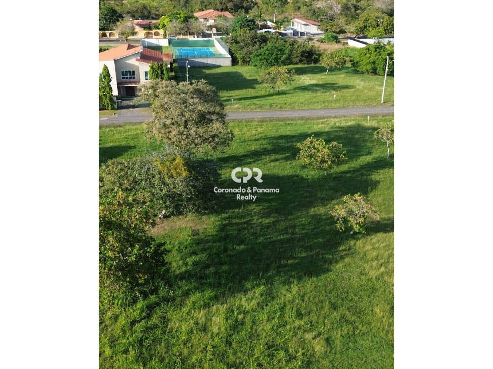 Venta de terreno en Coronado, Palmeras del Golf N°155 — foto 6