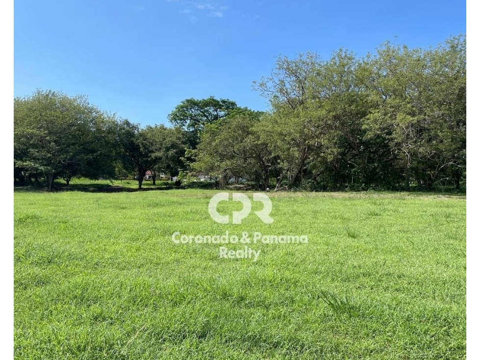 Terreno en Venta en Coronado, Palmeras del Golf N-134 - 1