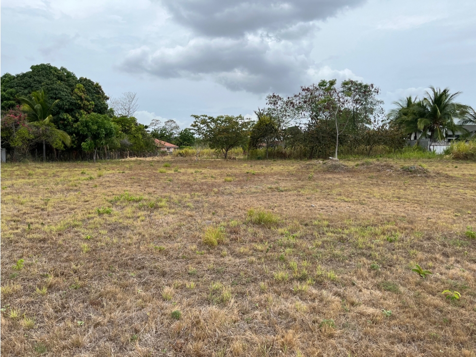 Venta de terreno en Coronado, lote #65 Quintas — foto 2