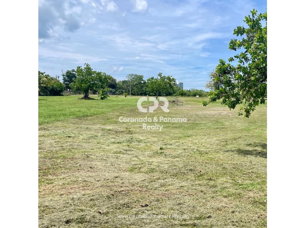 Terreno en Coronado, Palmeras del Golf N-80 — foto 2