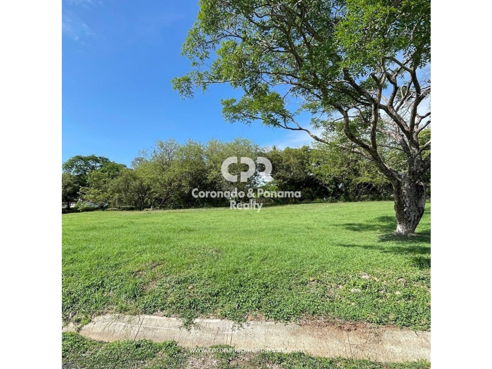 Terreno en venta en Coronado, Palmeras del Golf N-135 - 2