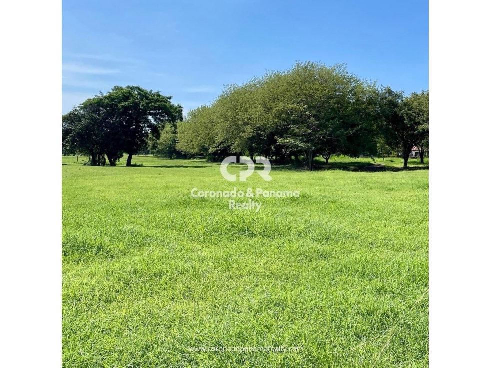 Terreno en Venta en Coronado, Palmeras del Golf N-134 - 2