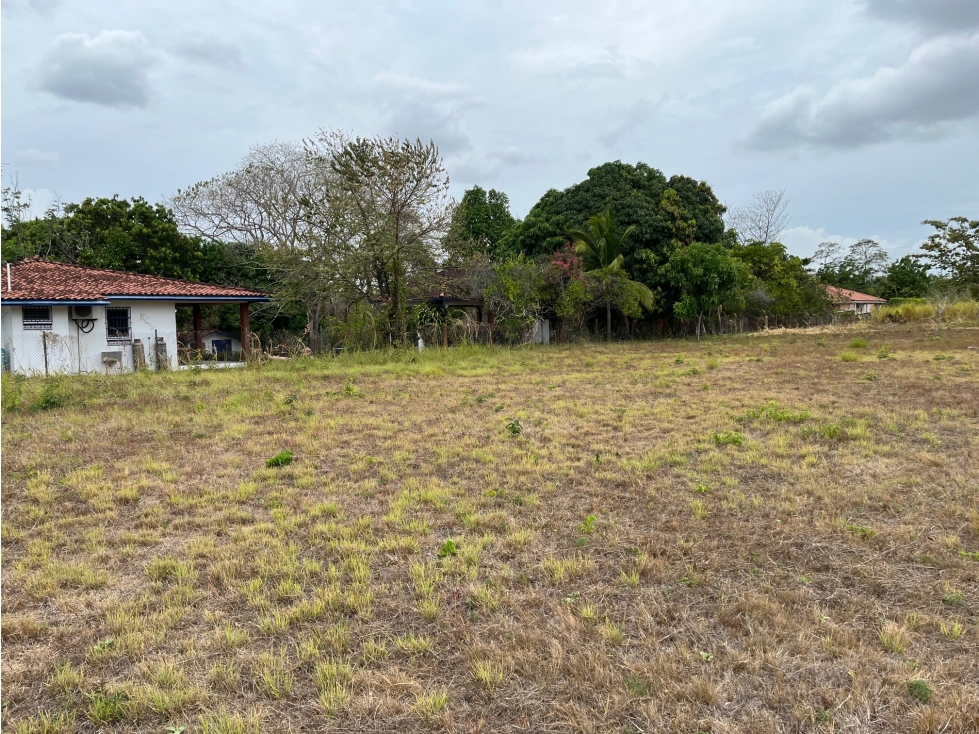 Venta de terreno en Coronado, lote #65 Quintas — foto 3